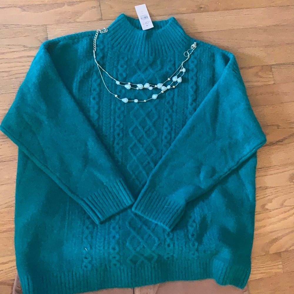 NWT 14 plus  Loft Sweater